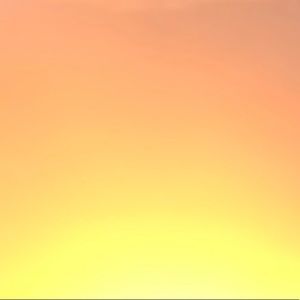 Meet your Posher, Ben